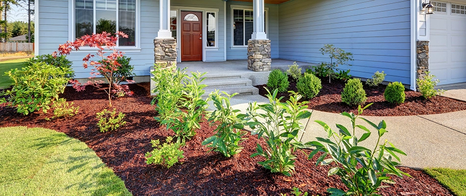 A landscape bed of bushes and shrubs protected by mulch in Haslett, MI.