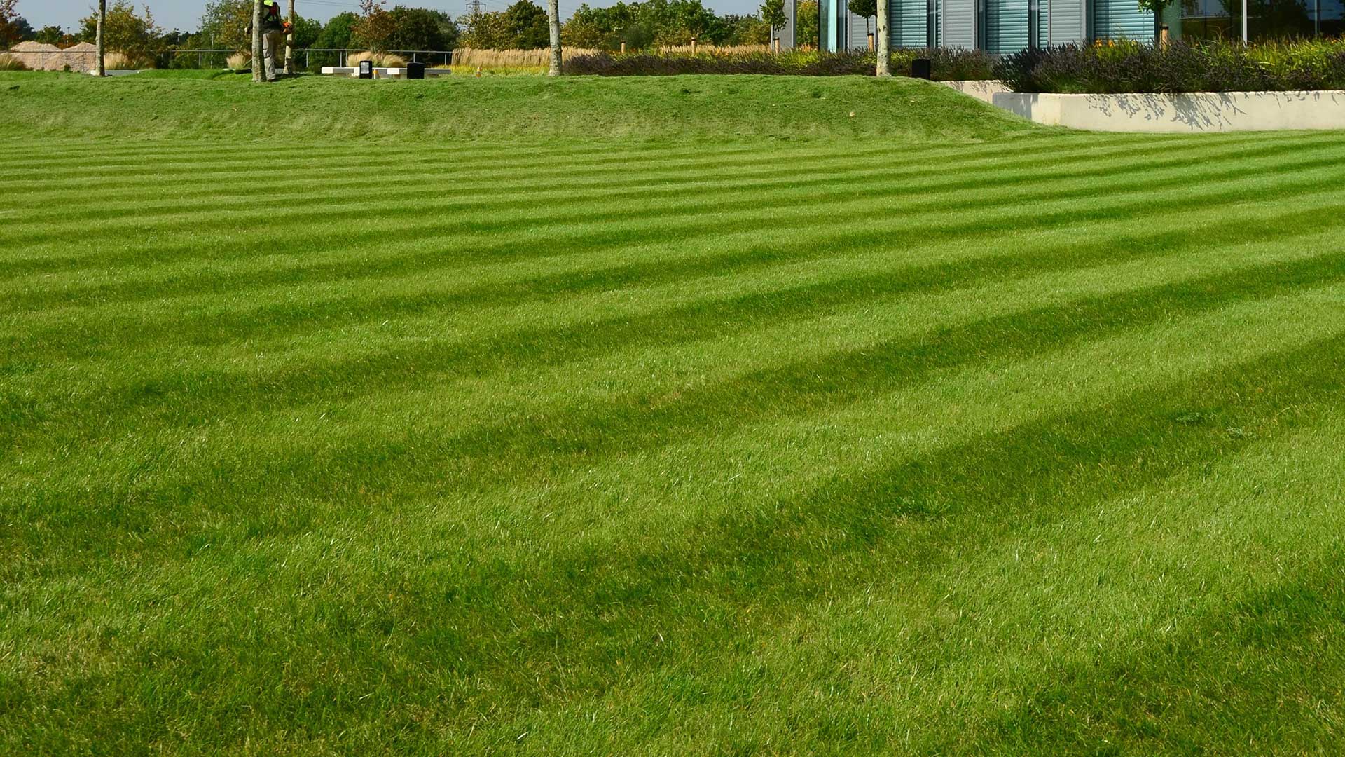 East Lansing, MI commercial property with lawn care services.