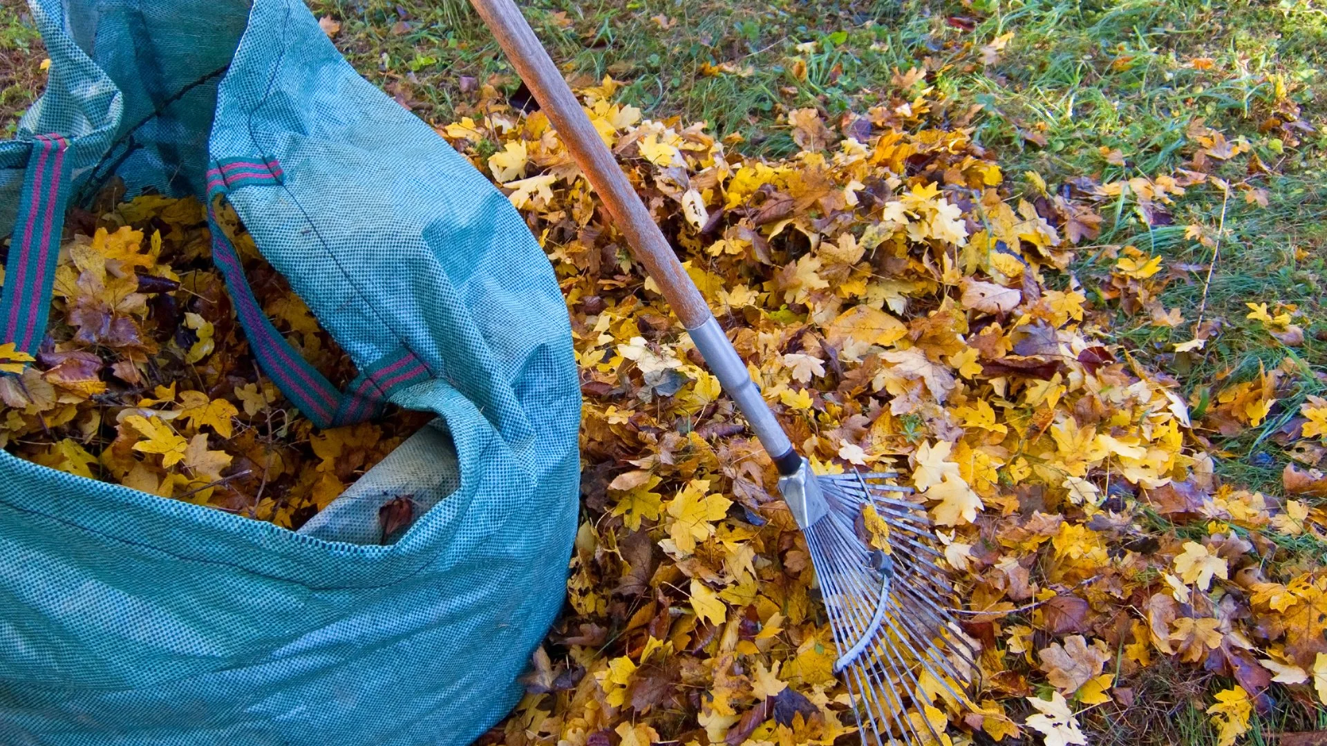 Preparing Your Yard for Winter Starts With Fall Maintenance