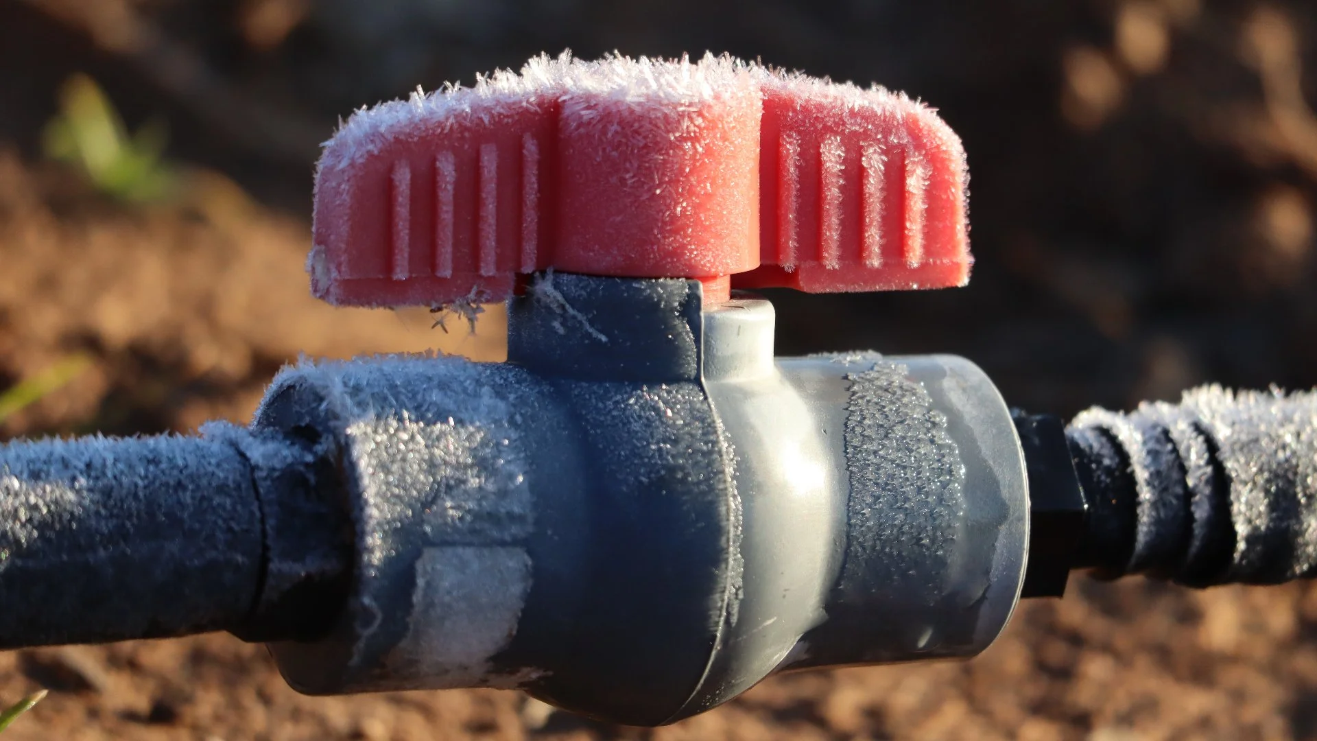 What Should I Expect With a Professional Irrigation Winterization Service?