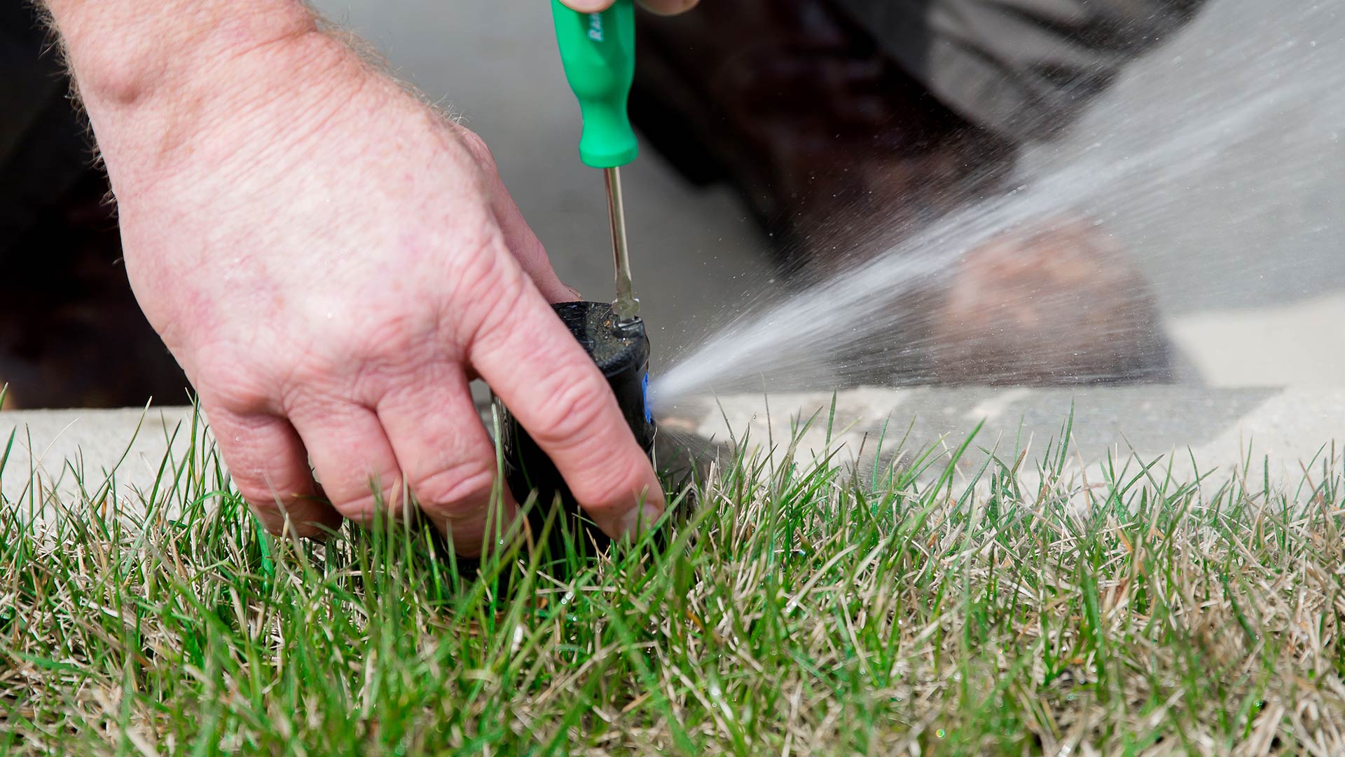 These Signs Could Indicate That Your Irrigation System Needs to Be Repaired