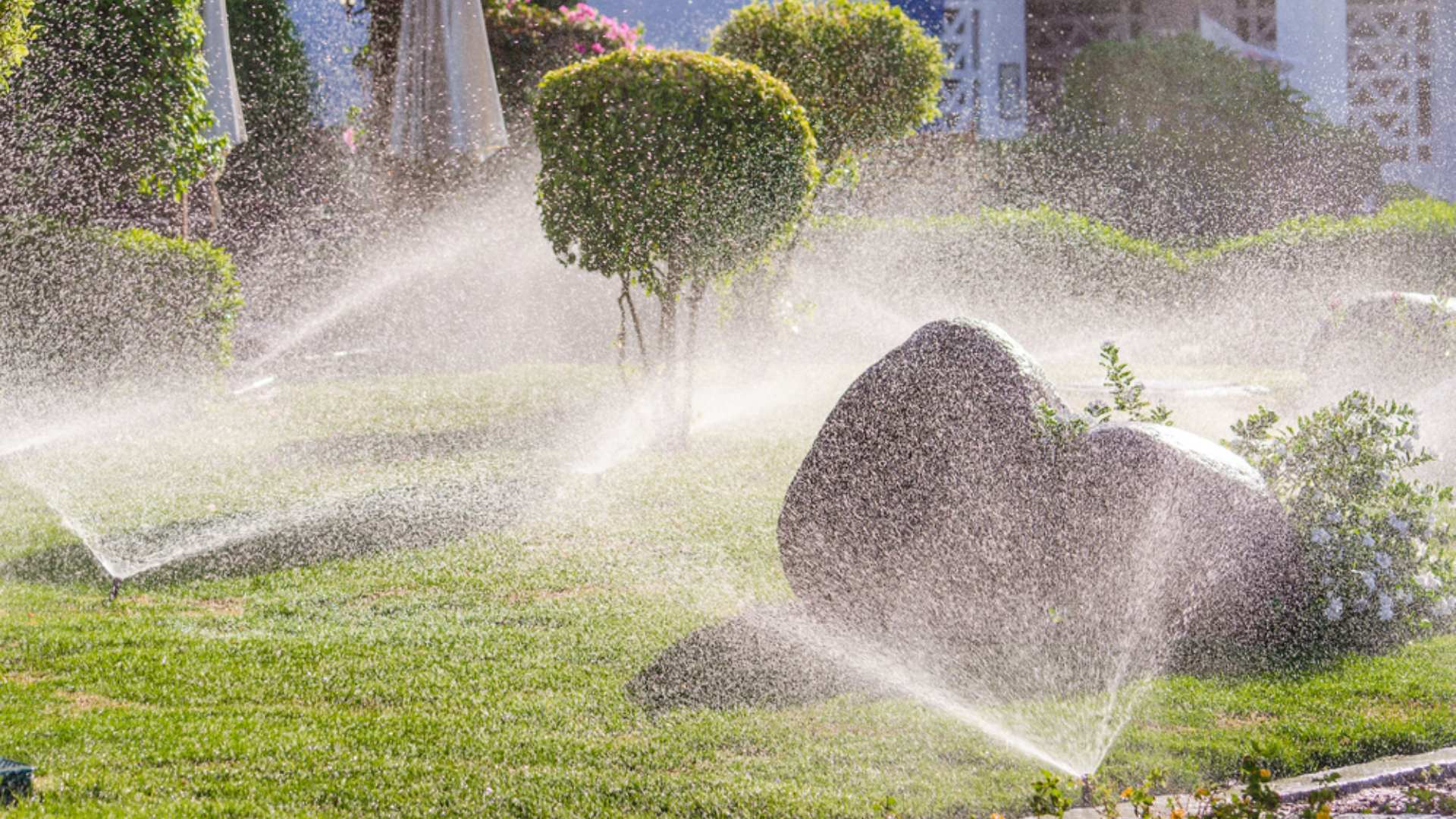 Multiple sprinkler systems watering lawn in Haslett, MI.