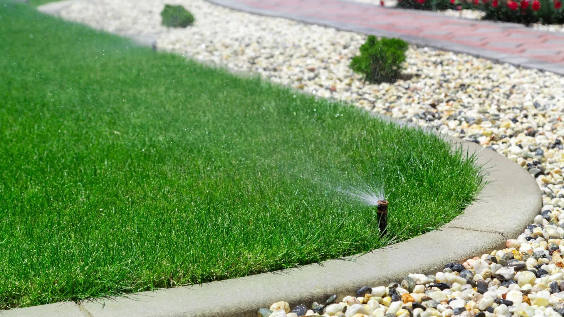 A sprinkler spraying water onto grass by a lawn curb in East Lansing, MI.
