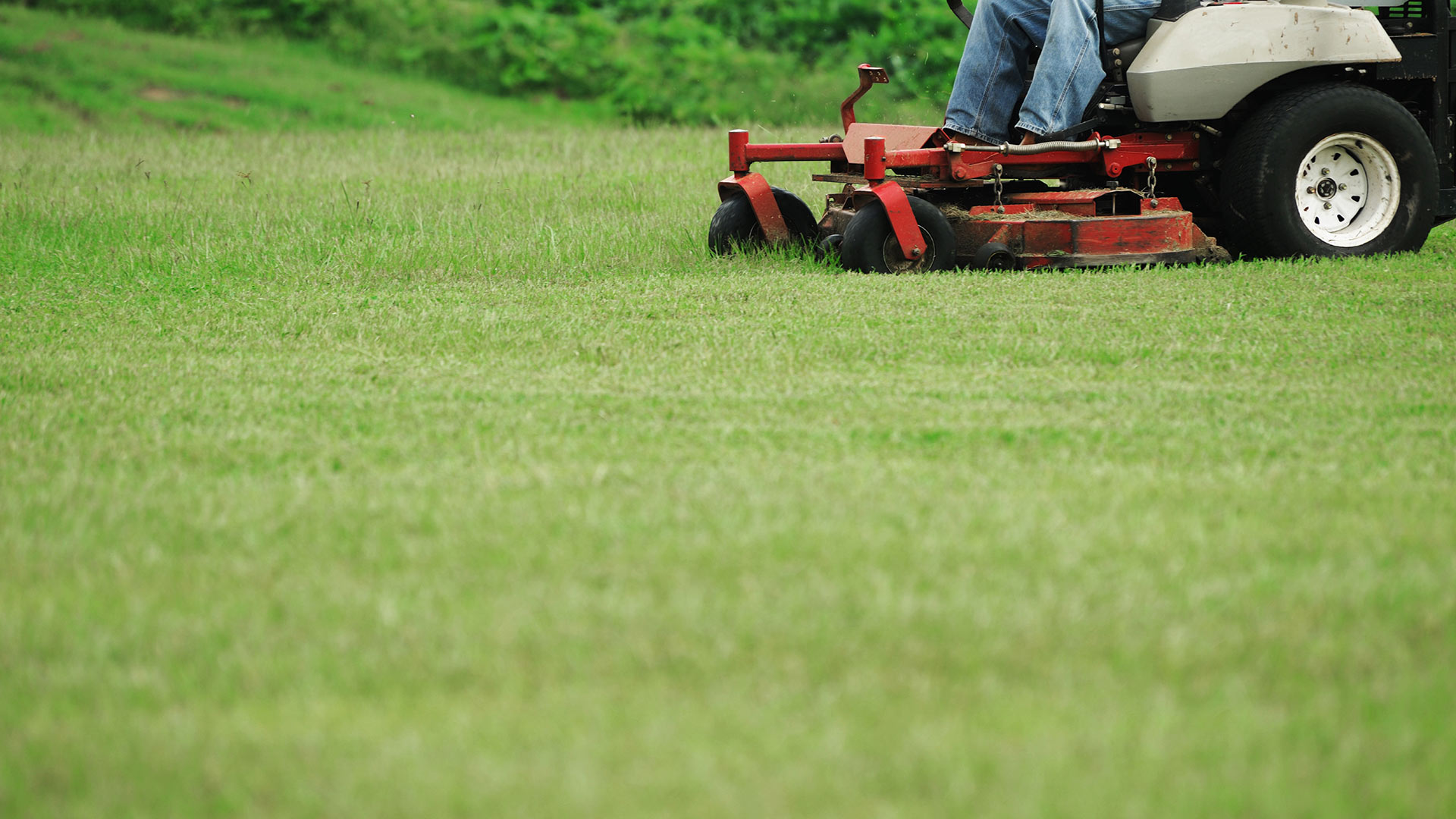 3 Questions to Ask a Lawn Mowing Company Before Hiring Them