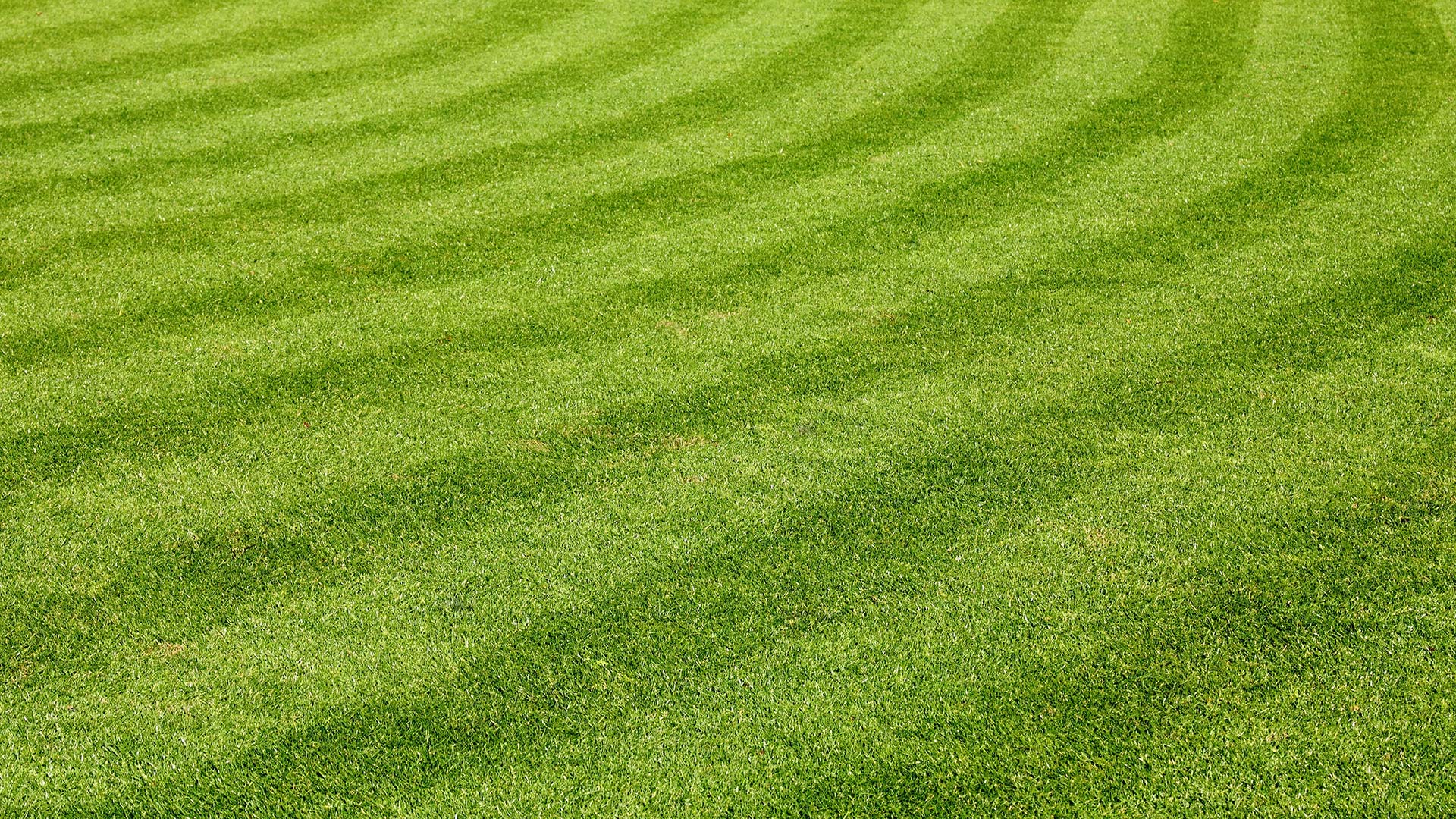 4 Common Lawn Care & Maintenance Mistakes to Avoid This Summer