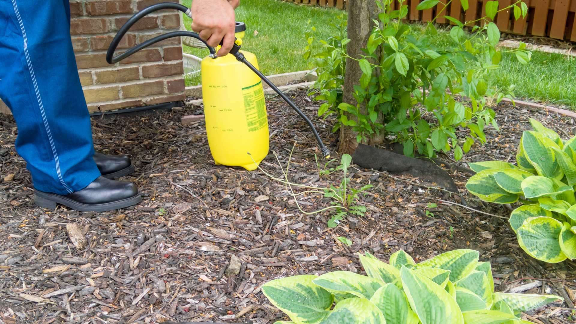 Professional applying landscape bed weed control to landscaping in Okemos, MI.