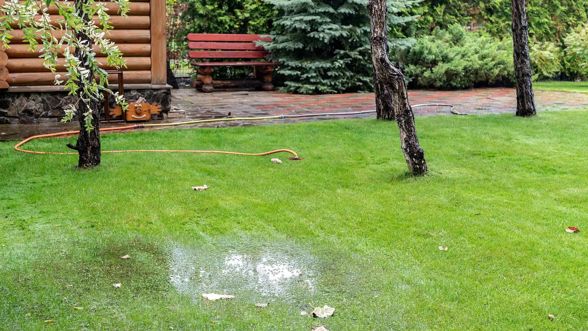 4 Drainage Options to Help You Solve Drainage Issues on Your Property