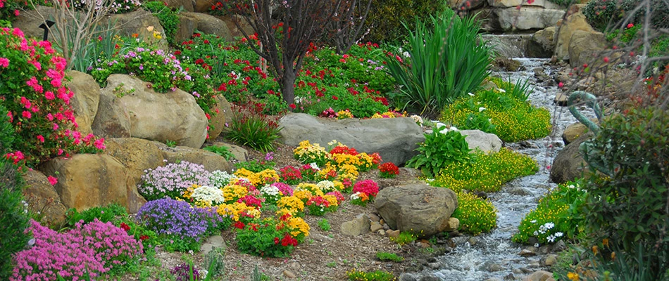 A water garden with a large variety of colorful flowers in East Lansing, MI. 