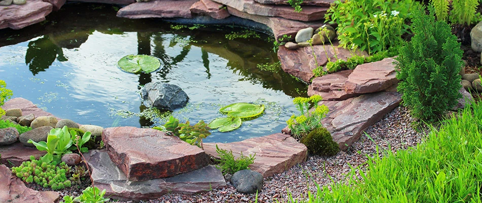 A pond with lily pads surrounded by stone in Haslett, MI. 