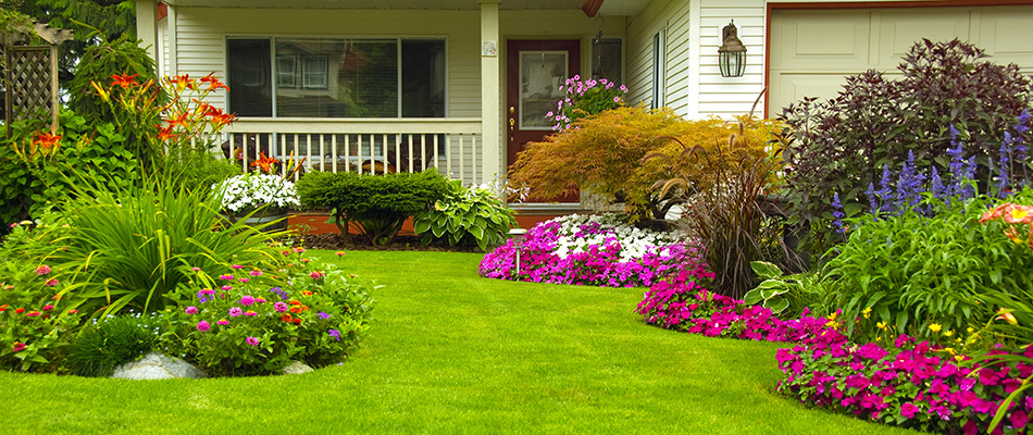 A front yard landscape arranged with a range of annual flowers in Haslett, MI.