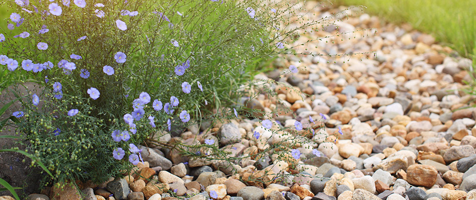 A beautiful dry creek bed drainage system with rocks of varying colors.