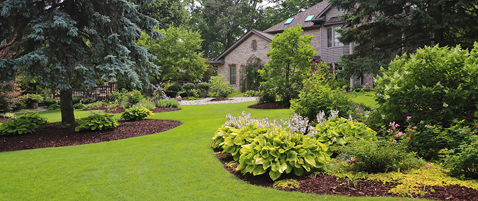 A lush green front yard landscape complete with trees and bushes in Okemos, MI.