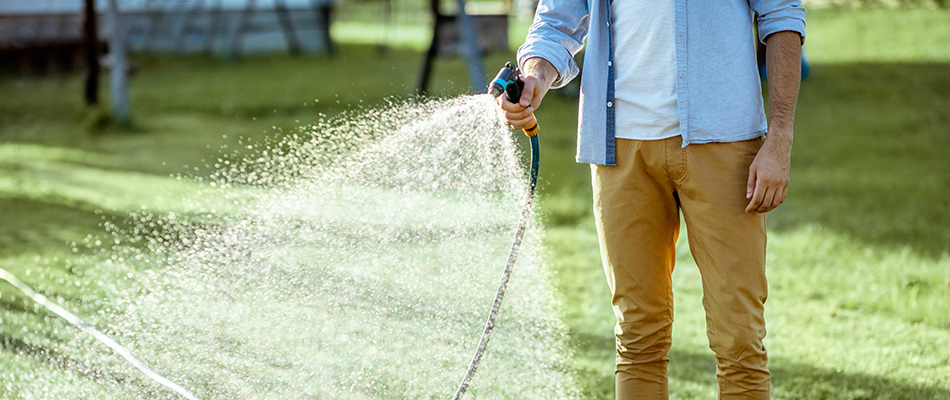 Homeowner watering lawn in Williamston, MI.