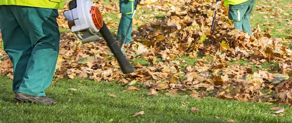 Outdoor Expressions Landscaping workers removing fall leaves with leaf blowers in Haslett, MI.