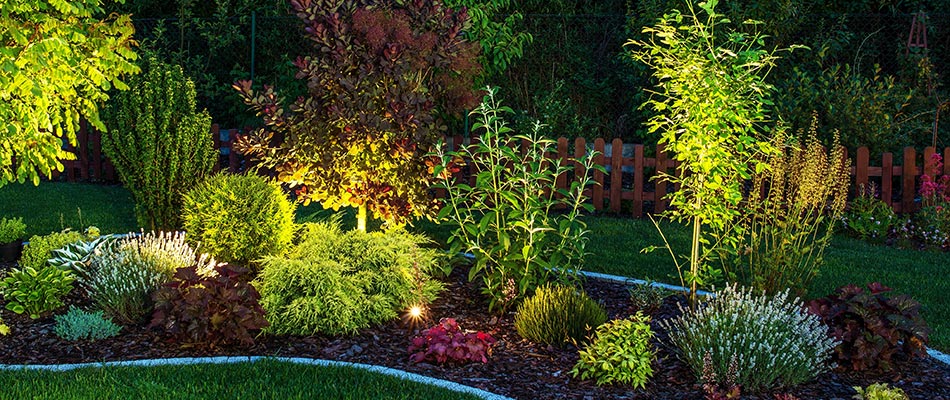 Perfect landscape bed with great lighting that illuminates its plants beautifully in Dewitt, MI.