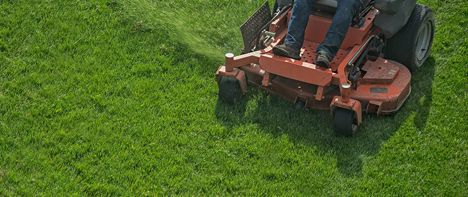 Aerial view of a professional mower maintaining a lawn.