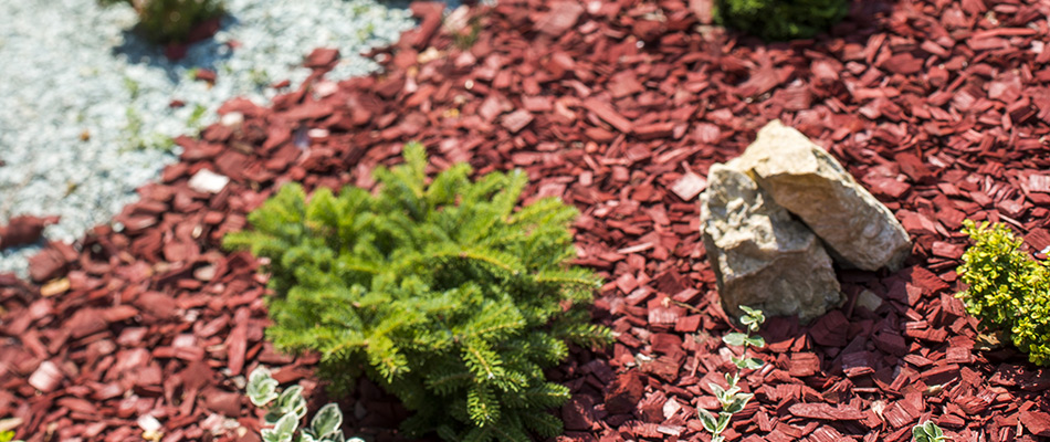 A beautiful landscape bed enhanced with red hardwood mulch.