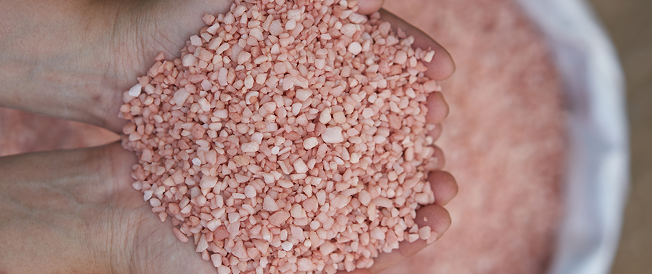 Granular potassium fertilizer in the hands of a professional working.