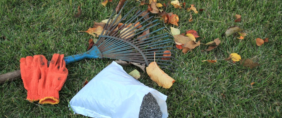 Rake and leaves with granular fertilizer in bag in Williamston, MI.