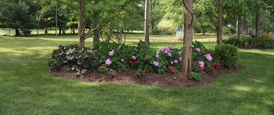 Refreshed landscape bed in spring near Haslett, MI.