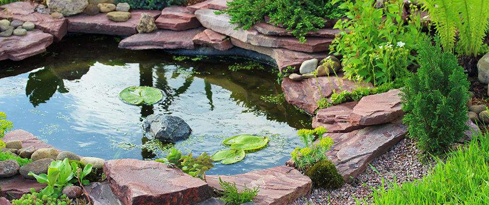 A traditional pond with lily pads surrounded by stone in Dewitt, MI.
