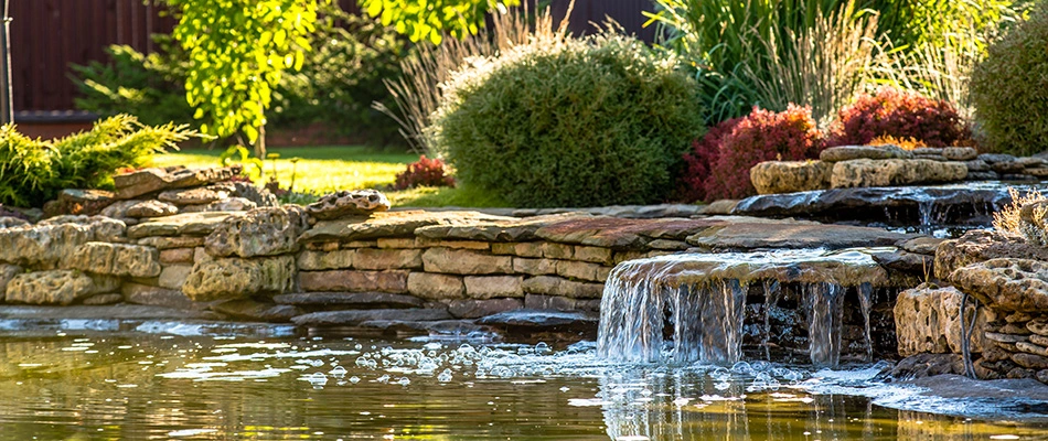 A water garden surrounded by stone and bushes in Williamston, MI.