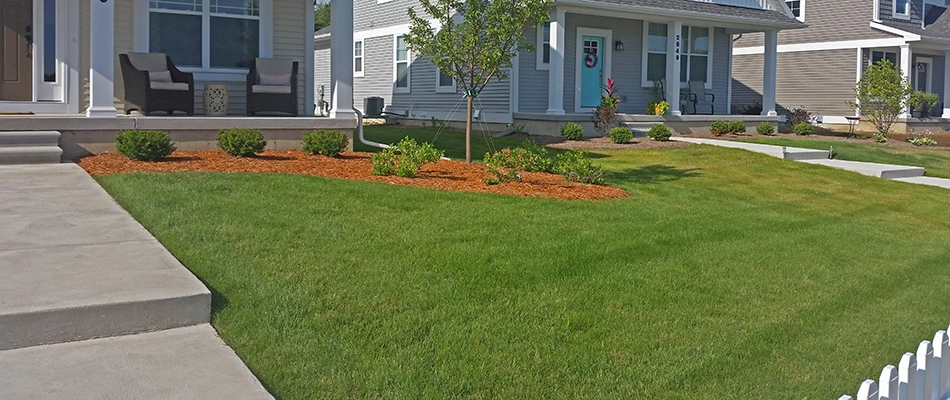 Well fertilized home lawn in Okemos, Michigan.