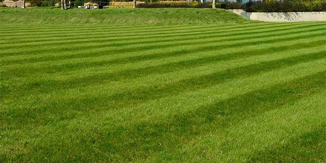 Commercial lawn care services at a property in Dewitt, MI.