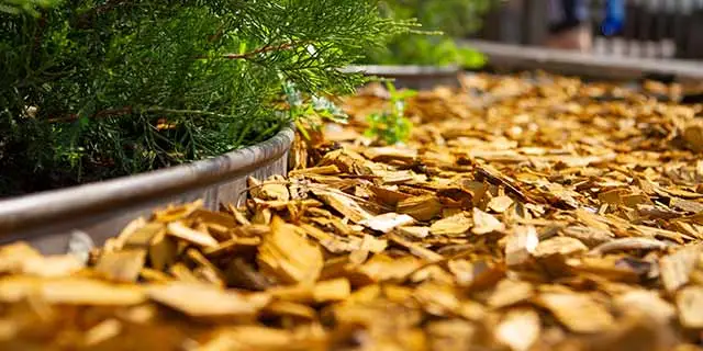 Mulch installation service for homes in East Lansing, MI.