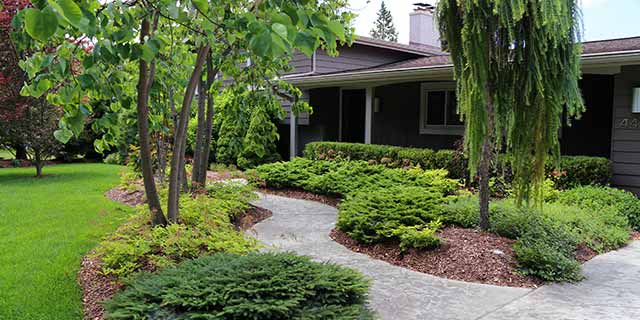 Landscape trimming and pruning services in Okemos, MI.
